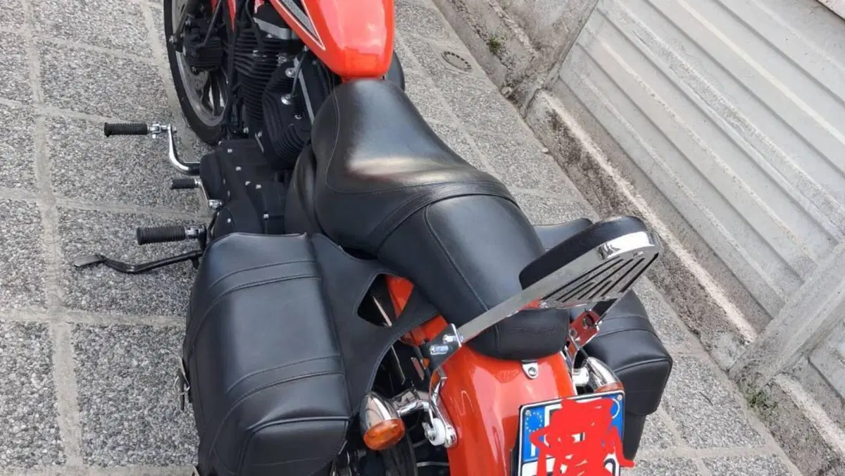 Harley-Davidson 883 (2008 - 09) - XL  (4)