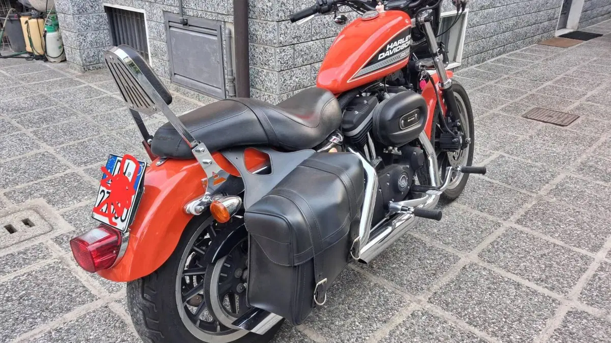 Harley-Davidson 883 (2008 - 09) - XL  (5)