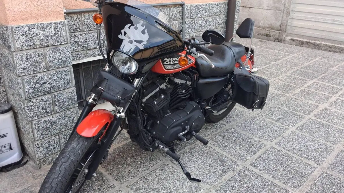 Harley-Davidson 883 (2008 - 09) - XL  (8)