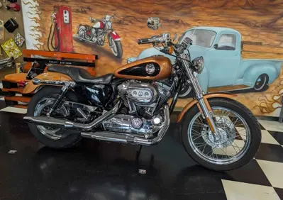 Harley-Davidson 1200 Custom (2007 - 13) - XL 1200C - Annuncio 10055353