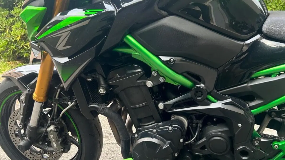 Kawasaki Z 900 SE (2022 - 24)  (4)