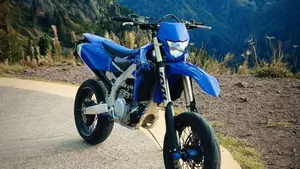 Yamaha WR 450 F (2022 - 24) 