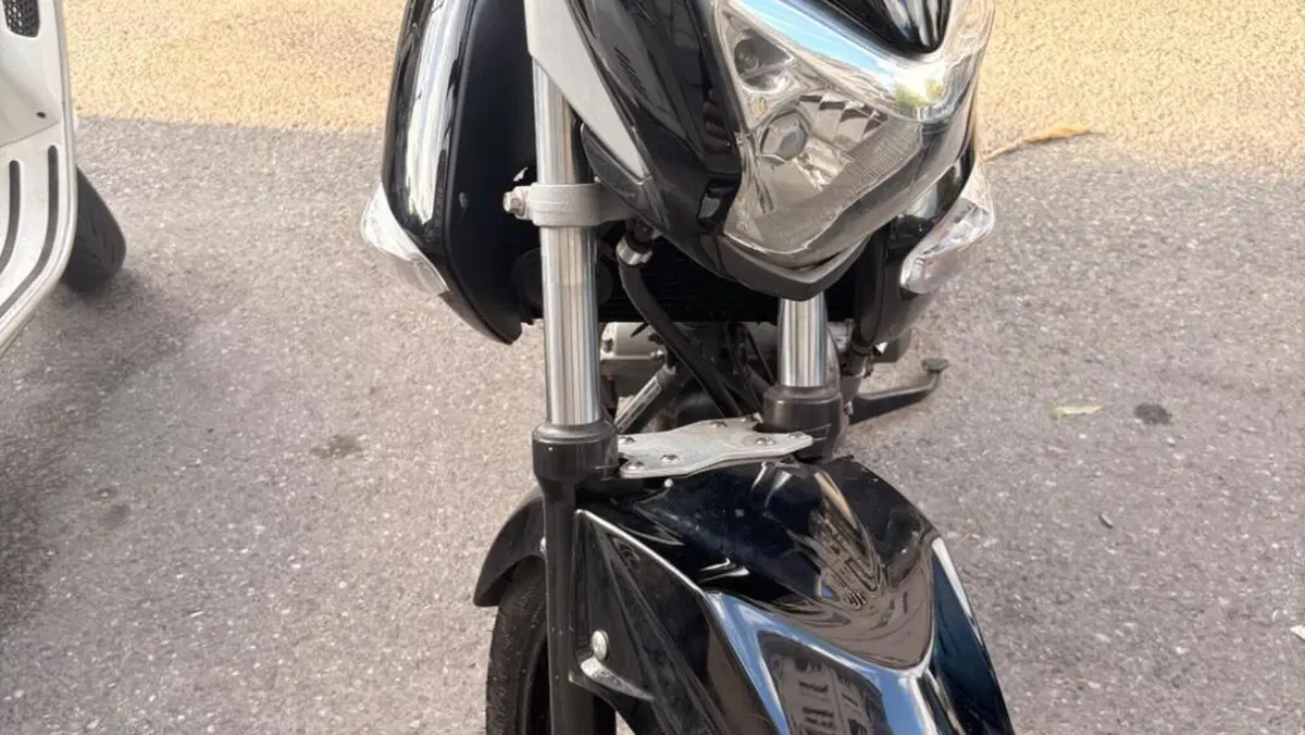Suzuki Inazuma 250 F (2015 - 16)  (2)