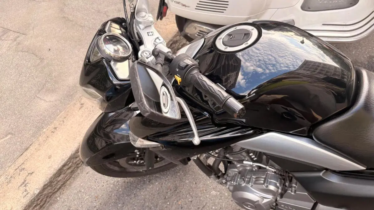 Suzuki Inazuma 250 F (2015 - 16)  (3)