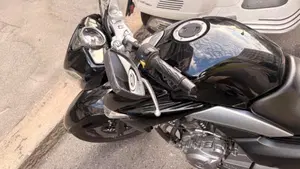 Suzuki Inazuma 250 F (2015 - 16)  (3)