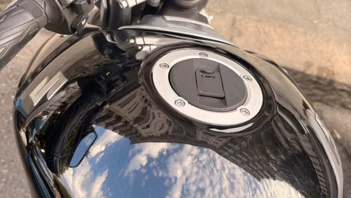 Suzuki Inazuma 250 F (2015 - 16)  (4)