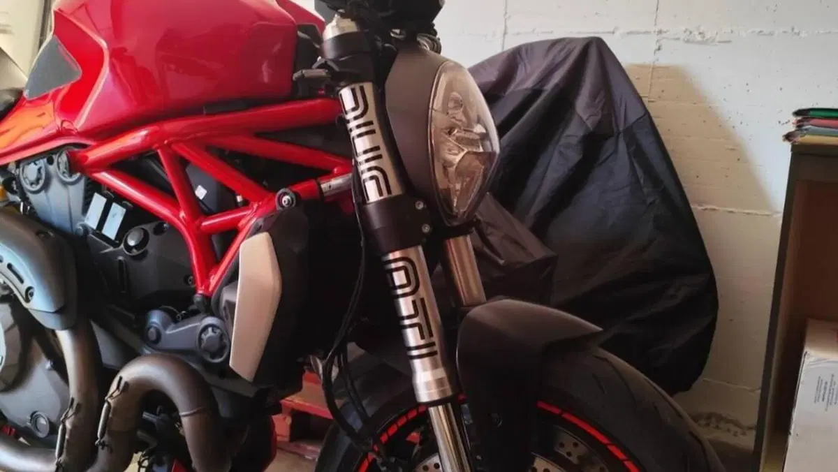 Ducati Monster 1200 (2017 - 21)  (2)