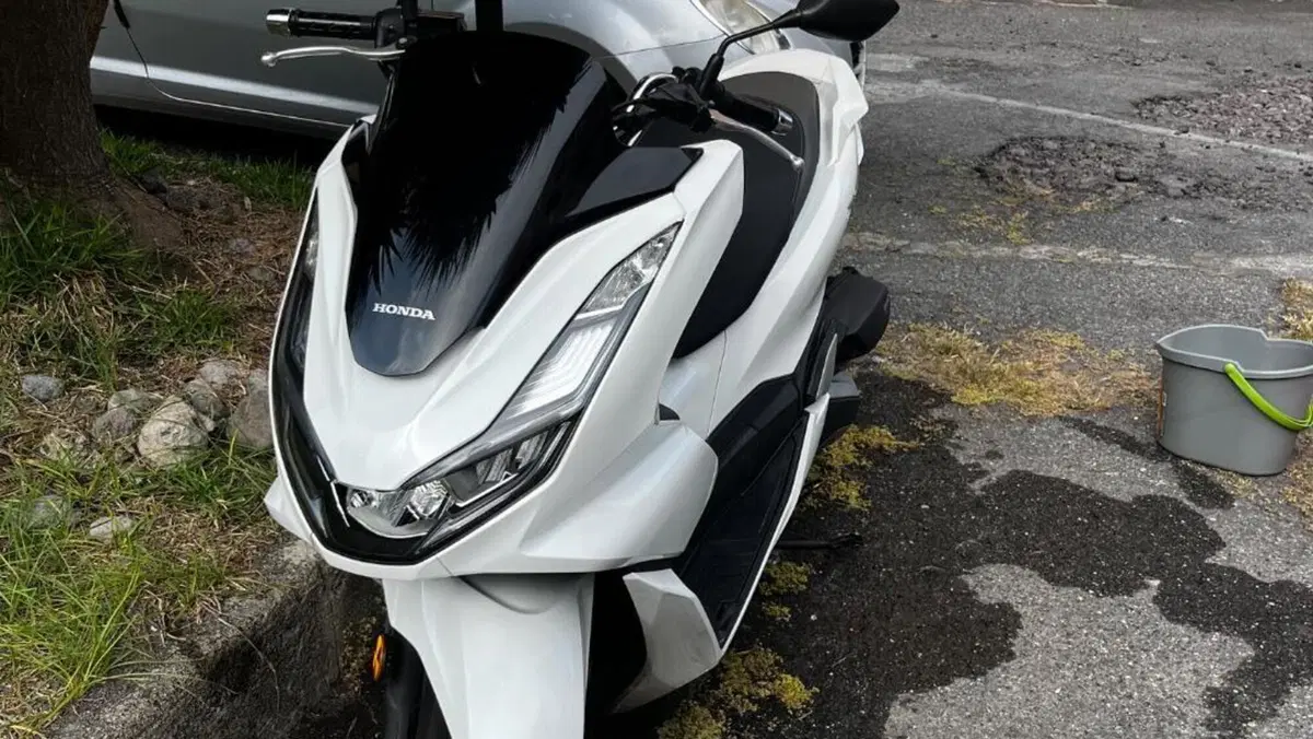 Honda PCX 125 (2021 - 24)  (7)