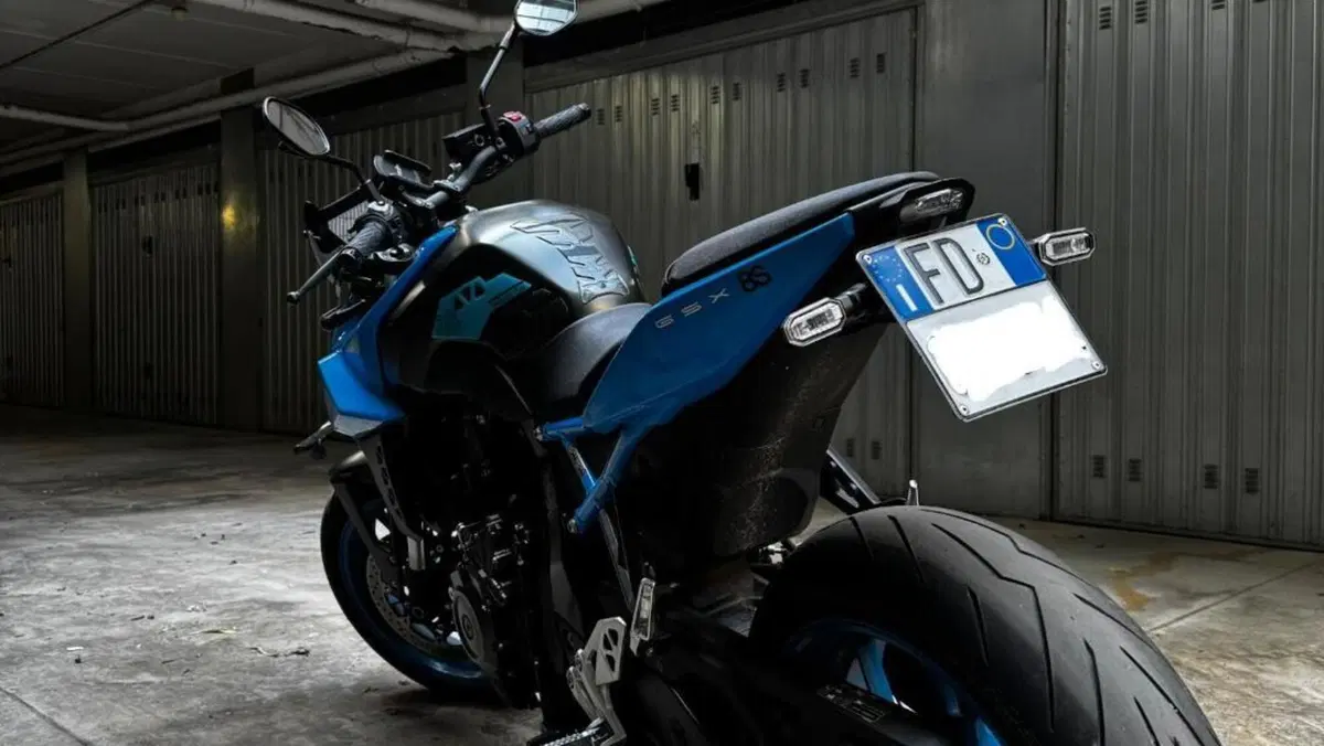 Suzuki GSX-8S (2023 - 24)  (4)