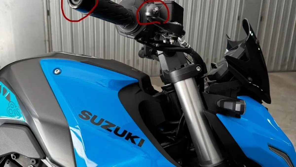 Suzuki GSX-8S (2023 - 24)  (5)