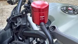 Ducati Streetfighter V2 955 Green (2022 - 23)  (7)