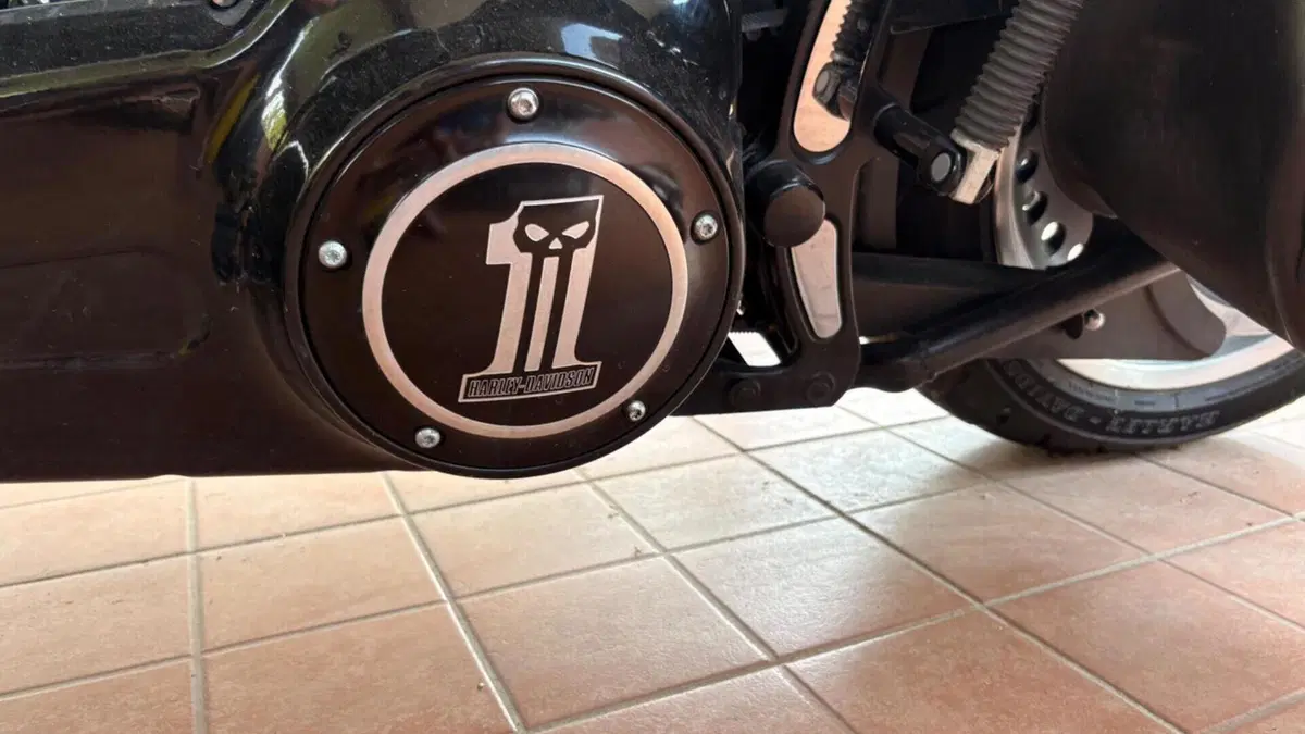 Harley-Davidson 1800 Fat Bob (2009 - 12) - FXDFSE  (6)
