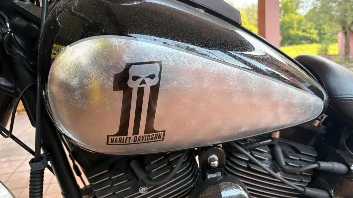 Harley-Davidson 1800 Fat Bob (2009 - 12) - FXDFSE  (7)