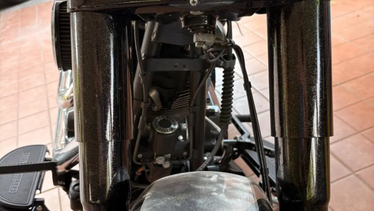 Harley-Davidson 1800 Fat Bob (2009 - 12) - FXDFSE  (8)