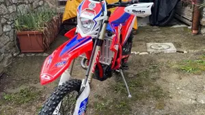Betamotor RR 390 4T Enduro (2021)  (2)