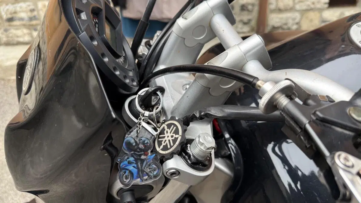 Yamaha FZ6 (2004 - 07)  (14)