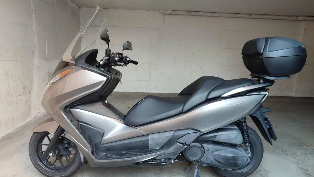 Honda Forza 300 ABS (2013 - 17)  (4)
