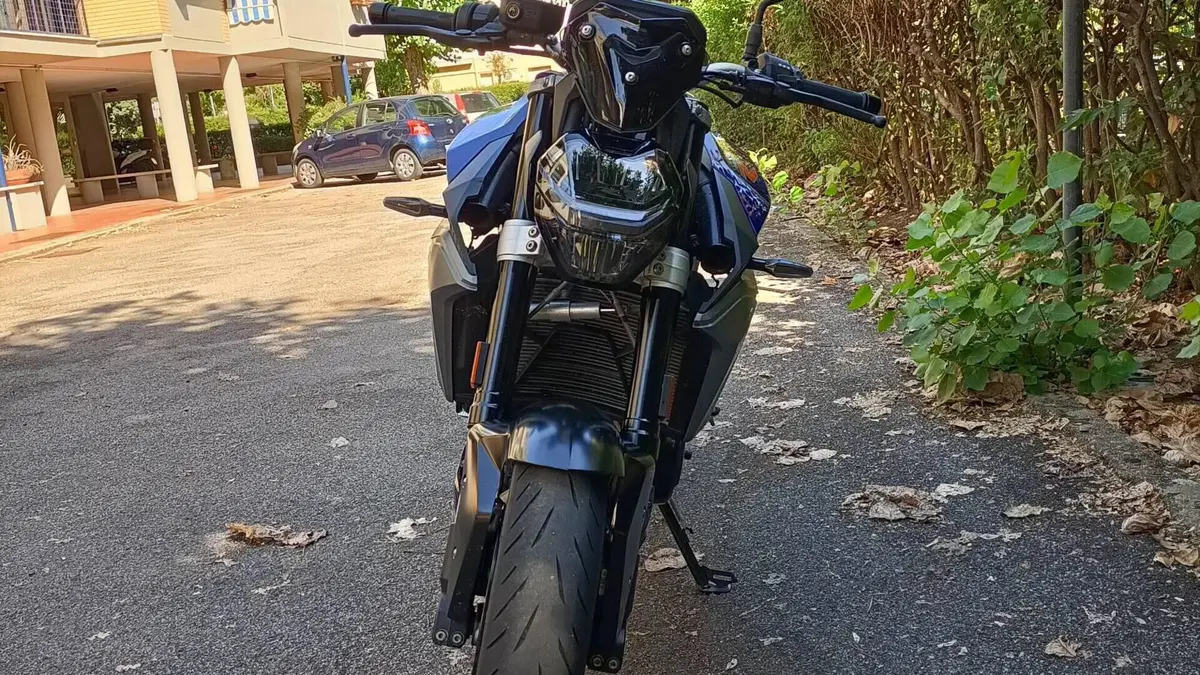 Bmw F 900 R (2017 - 20)  (2)