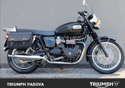 Triumph Bonneville T100 (2008 - 16) - Annuncio 10055348