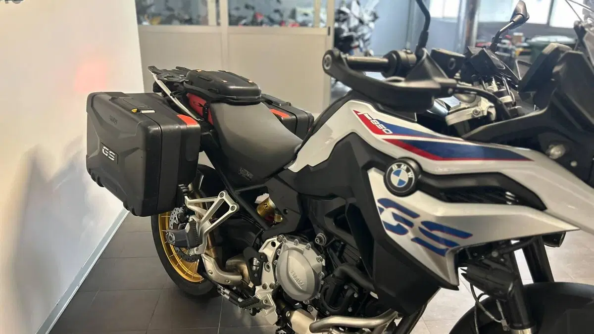 Bmw F 850 GS (2018 - 20)  (14)