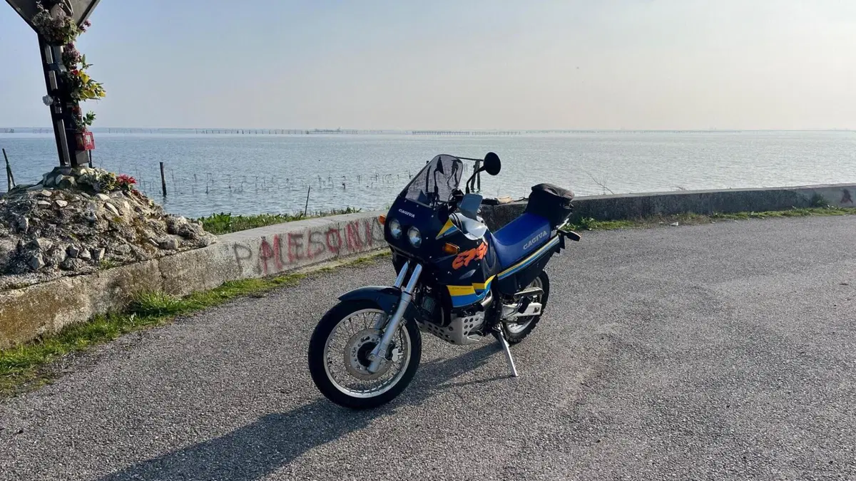 Cagiva Elefant 750 Cat (1994 - 97)  (6)