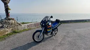 Cagiva Elefant 750 Cat (1994 - 97)  (6)