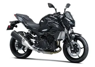 Kawasaki Z 500 (2024 - 26) - Annuncio 10056094