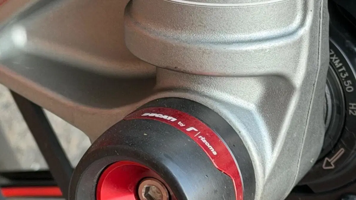 Ducati Multistrada V4 RS (2024 - 25)  (9)