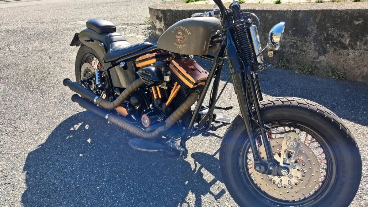 Harley-Davidson 1340 Heritage Classic (1984 - 98) - FLSTC  (2)