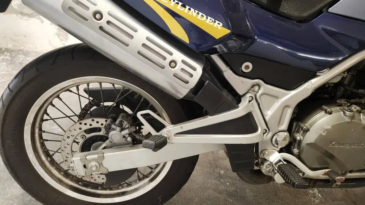 Kawasaki KLE 500 (2001 - 04) 
