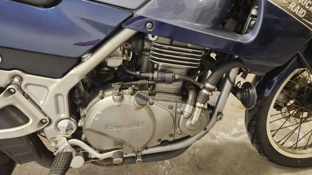 Kawasaki KLE 500 (2001 - 04)  (2)