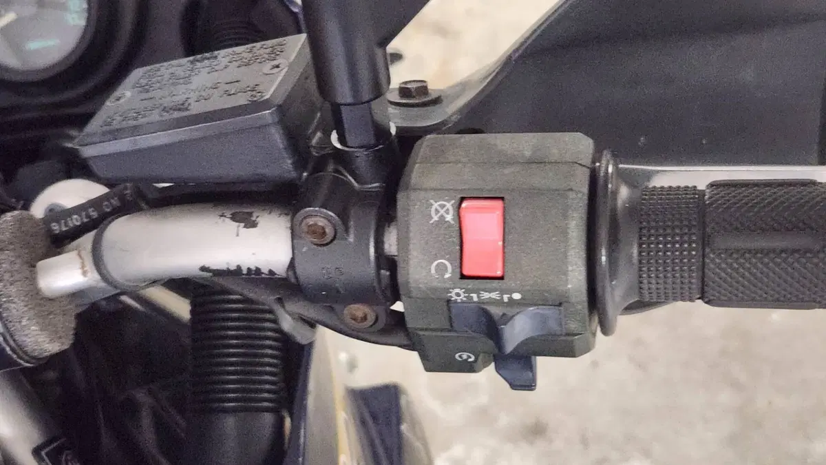 Kawasaki KLE 500 (2001 - 04)  (6)