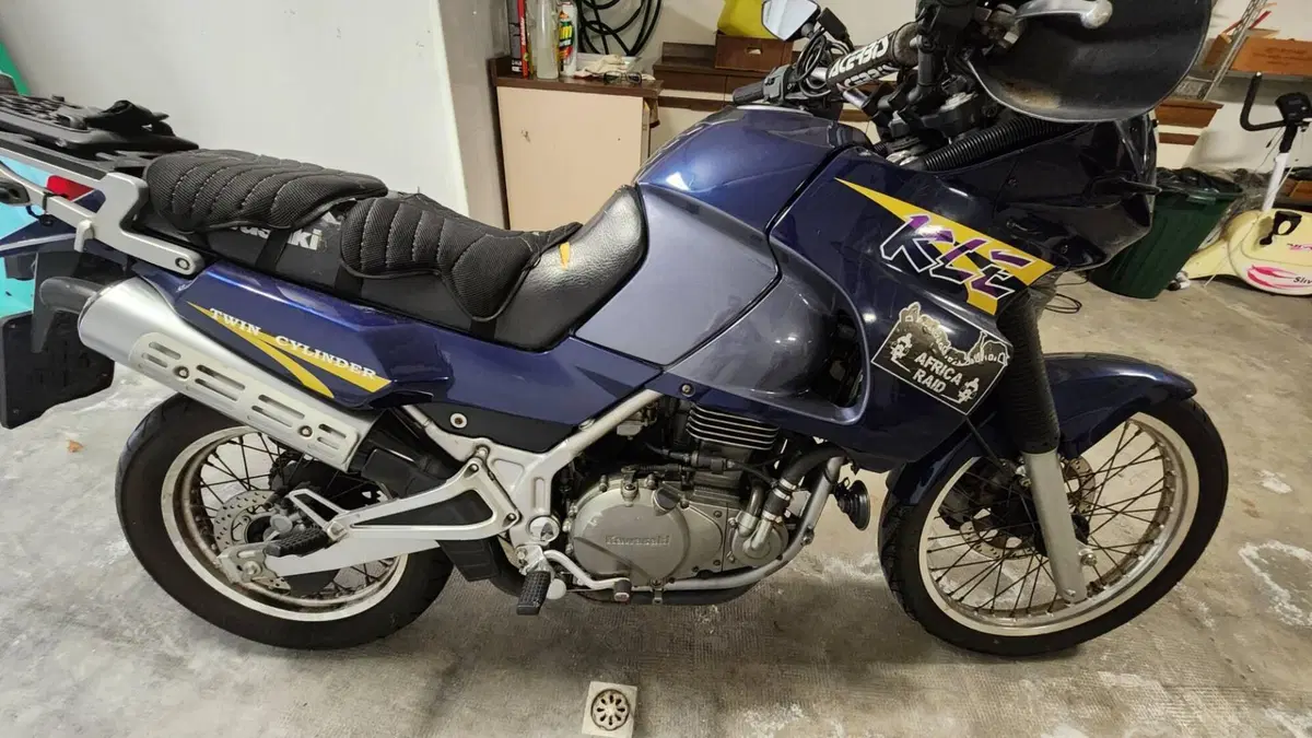 Kawasaki KLE 500 (2001 - 04)  (10)