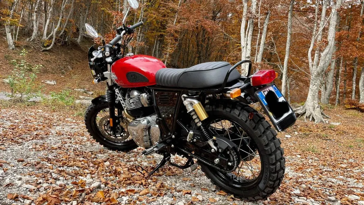 Royal Enfield Interceptor 650 (2019 - 20)  (4)