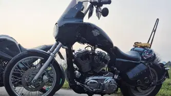 Harley-Davidson 1200 Custom (2004 - 06) - XL 1200C usata