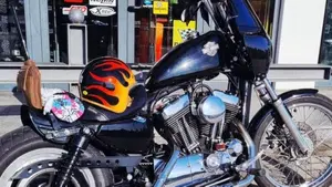 Harley-Davidson 1200 Custom (2004 - 06) - XL 1200C  (3)