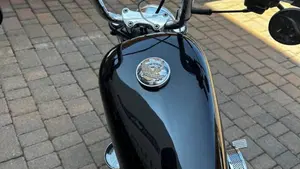 Harley-Davidson 1200 Custom (2004 - 06) - XL 1200C  (5)