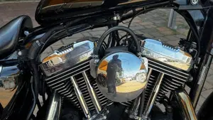 Harley-Davidson 1200 Custom (2004 - 06) - XL 1200C  (7)