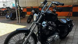 Harley-Davidson 1200 Custom (2004 - 06) - XL 1200C  (8)