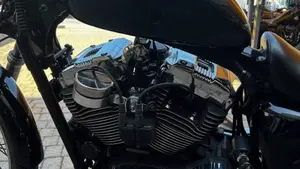 Harley-Davidson 1200 Custom (2004 - 06) - XL 1200C  (9)