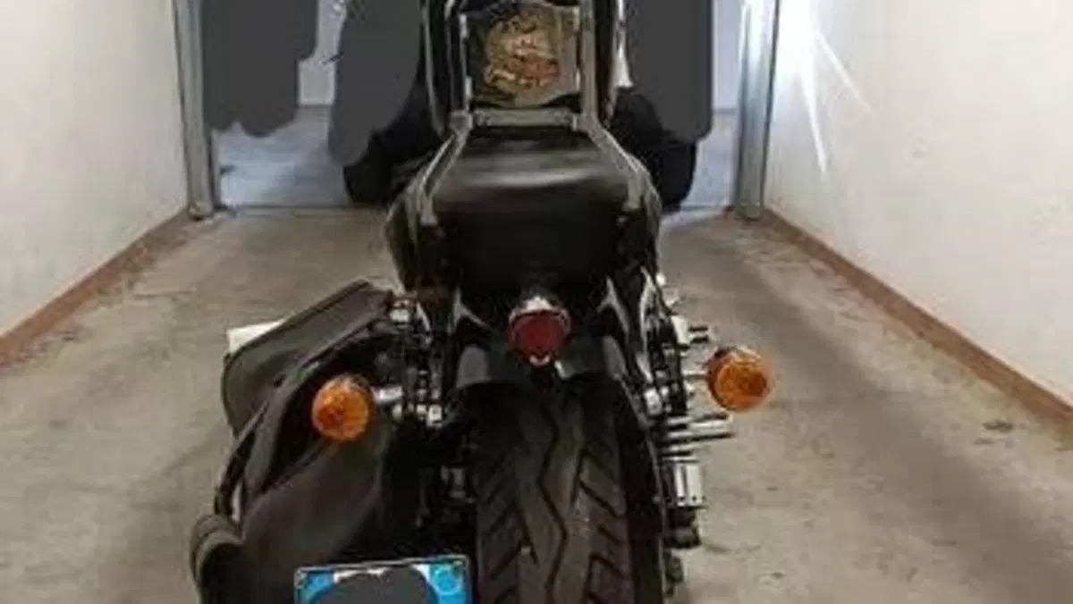 Harley-Davidson 883 Custom (2008 - 12) - XL 883C 
