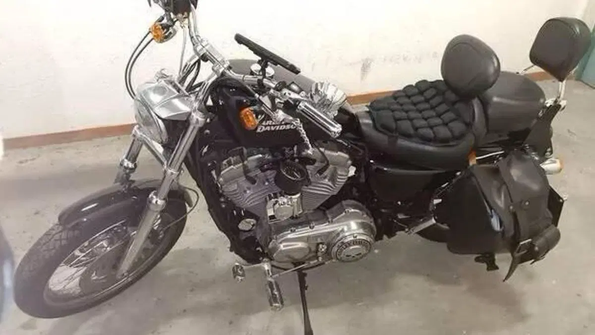 Harley-Davidson 883 Custom (2008 - 12) - XL 883C  (2)