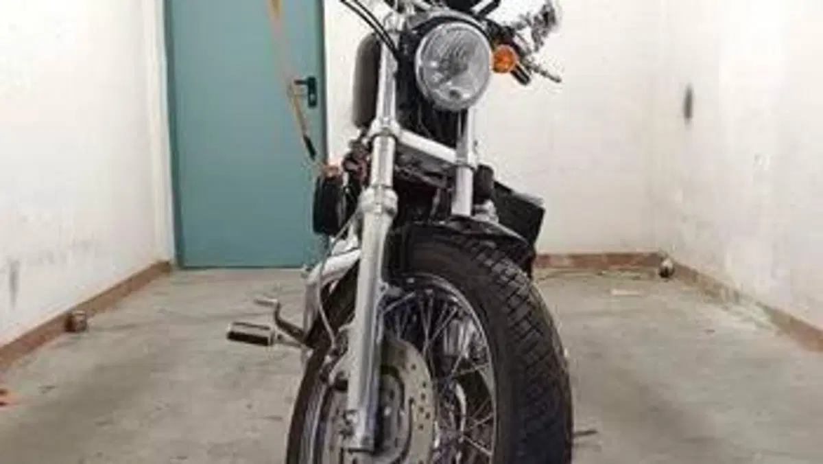 Harley-Davidson 883 Custom (2008 - 12) - XL 883C  (4)