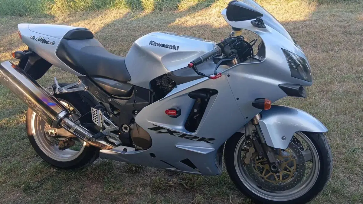 Kawasaki Ninja 1200 ZX-12R (2000 - 06)  (2)