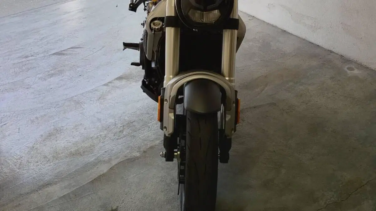 Voge Trofeo 350AC (2022 - 26)  (5)