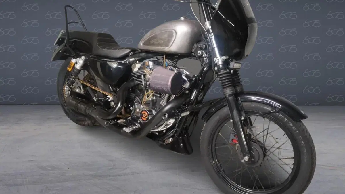 Harley-Davidson 1200 Low (2006 - 07) - XL 1200L  (2)