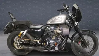 Harley-Davidson 1200 Low (2006 - 07) - XL 1200L usata