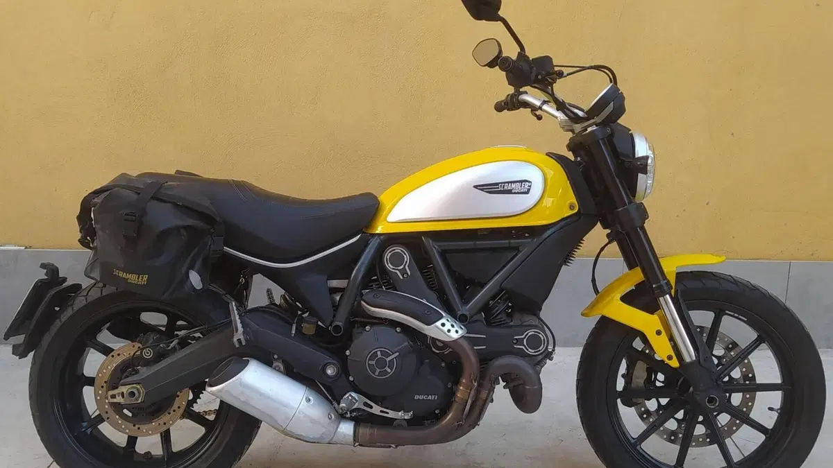 Ducati Scrambler 800 Icon (2015 - 16)  (2)