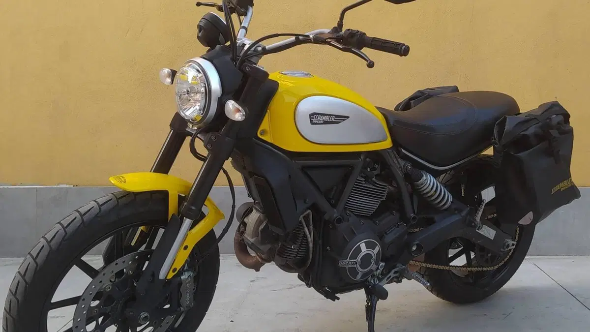 Ducati Scrambler 800 Icon (2015 - 16)  (3)