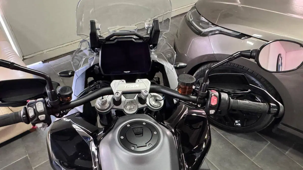 Triumph Tiger 1200 GT Pro (2024 - 26)  (11)
